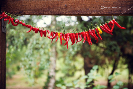 cayenne