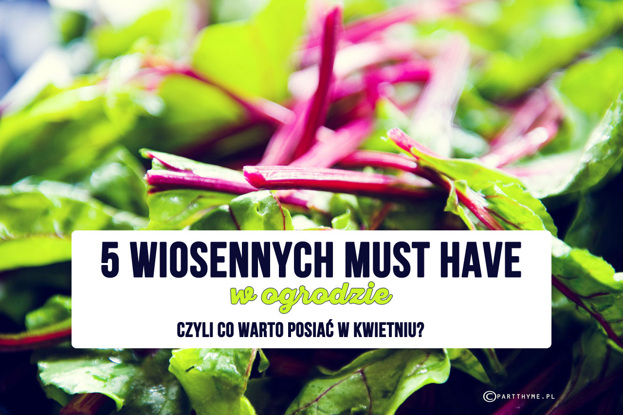 kwiecień w ogrodzie