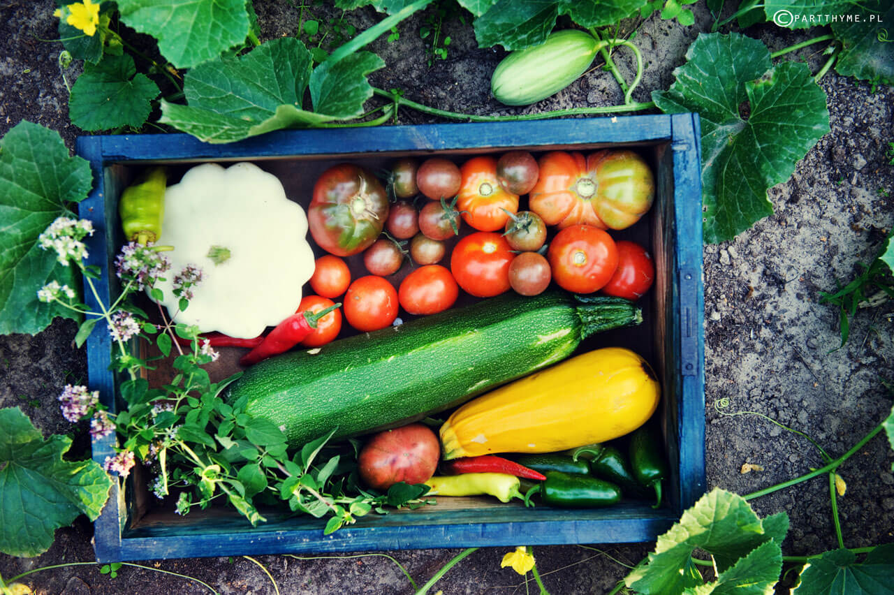 lipiec warzywa sezonowe