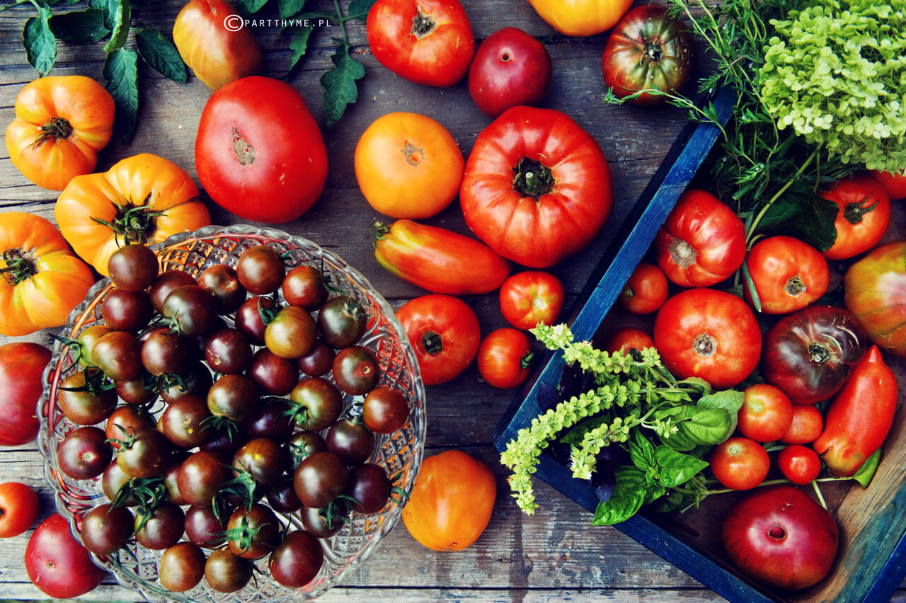odmiany pomidorów