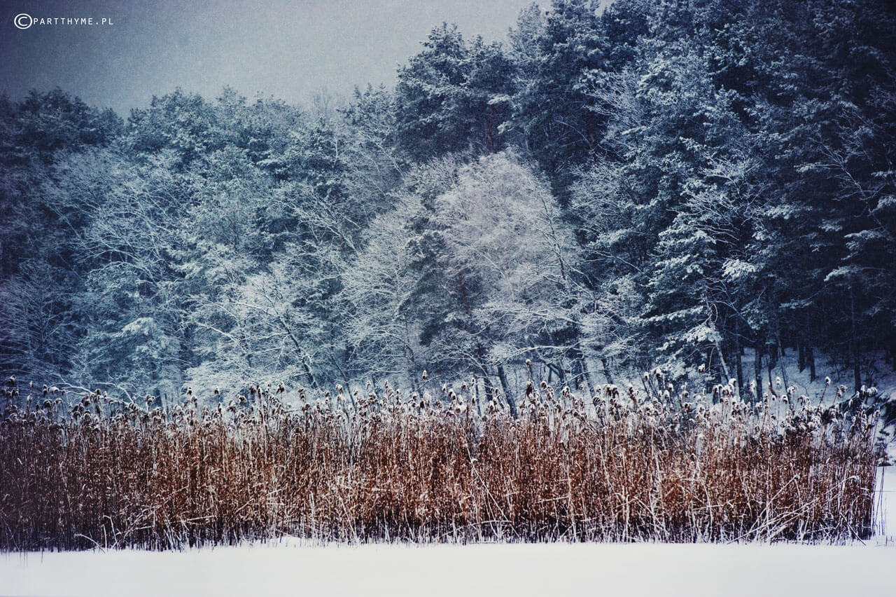 zalew zemborzycki lublin