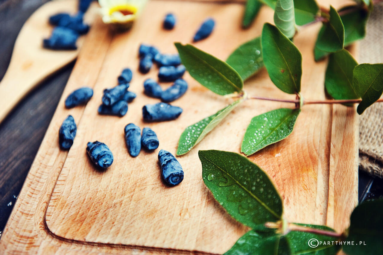 odmiany jagody kamczackiej