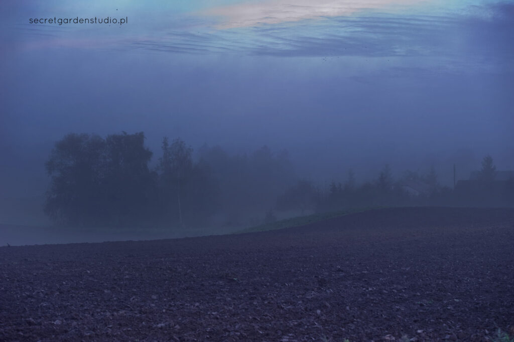 secret garden studio lublin