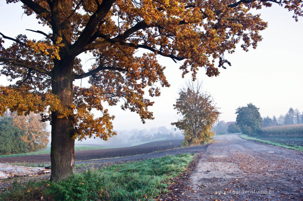 jesień na wsi